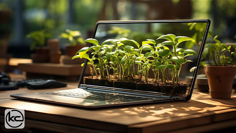 10 تا از بهترین فروشگاه های اینترنتی فروش نهال