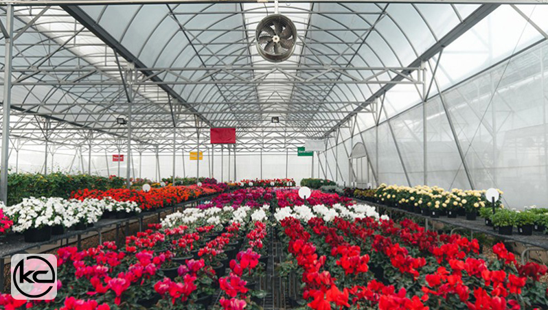 بهترین سیستم‌های سرمایش گلخانه برای افزایش بهره‌وری و کاهش هزینه‌ها
