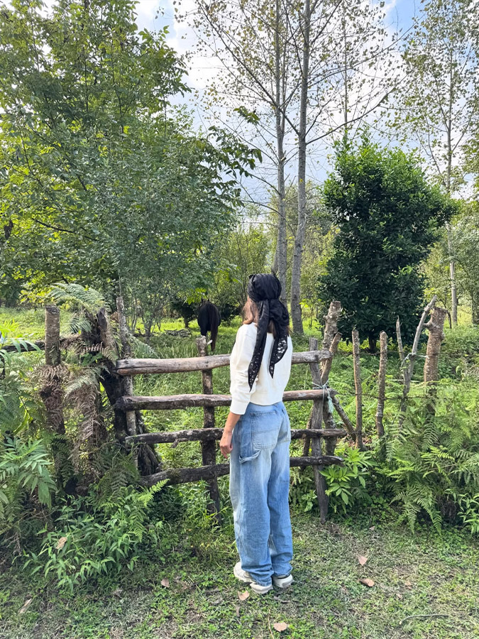 رکوردها و افتخارات پردیس عبدالمحمدی در ۱۰۰ متر با مانع