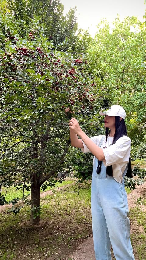 تصاویر منتخب ریحانه کریمی 3